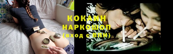 молекула духа Балахна