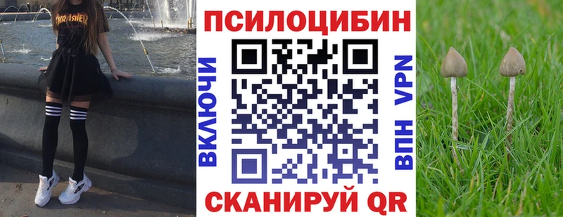 Галлюциногенные грибы GOLDEN TEACHER mega вход Урус-Мартан